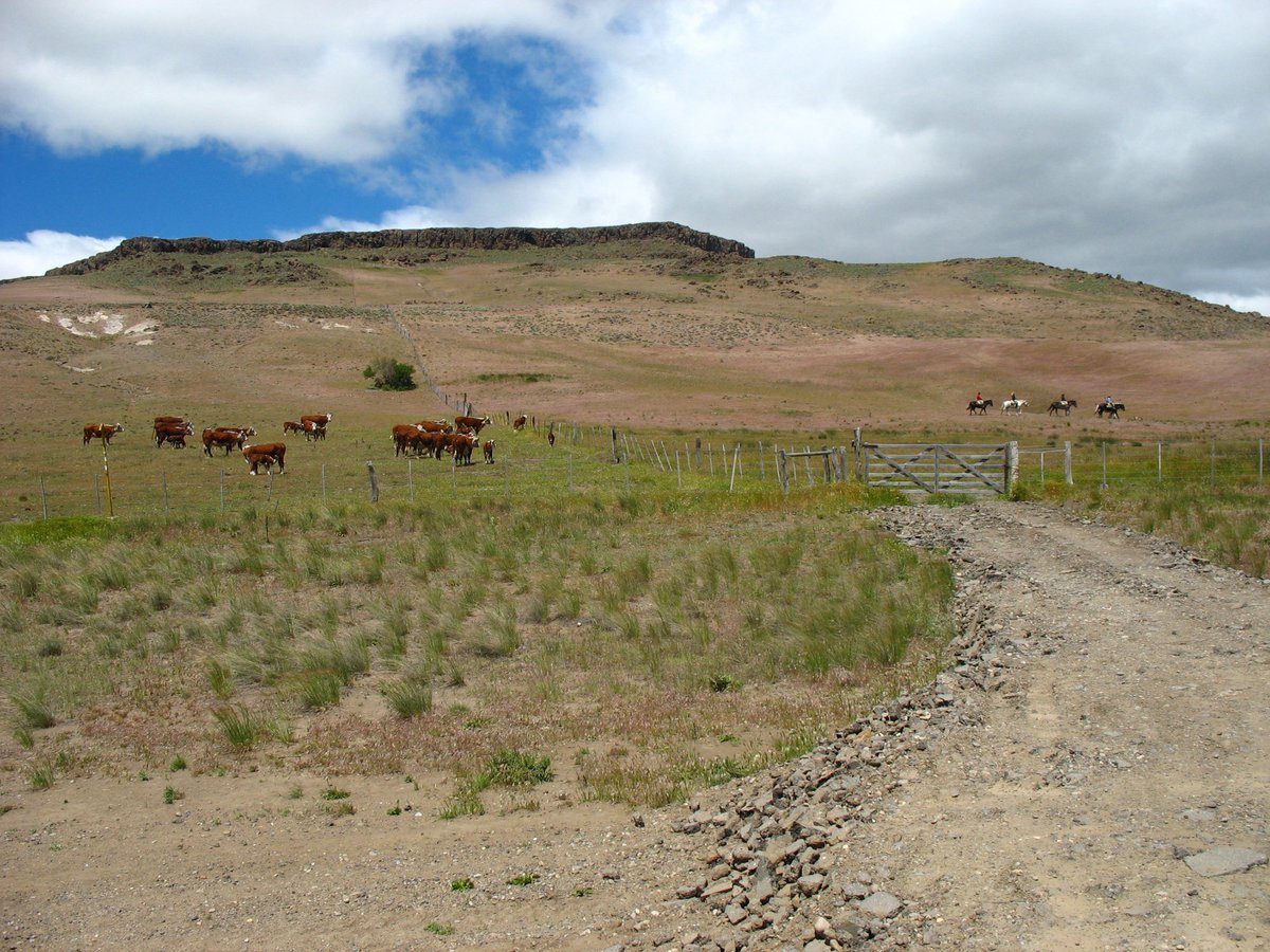 #SenasaEnTuRegion 
Integramos la Mesa de Trabajo interinstitucional del Neuquén, en el marco de la emergencia hídrica declarada por el gobierno provincial.  Participamos en acciones para enfrentar la problemática de la sequía y sus consecuencias en la producción agropecuaria.
