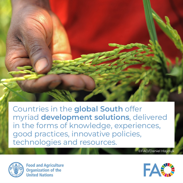 FAOSIDS's tweet image. Don’t miss the #UNSSCDay2025 webinar on SSTC & Financing for Food Security hosted by @FAO @IFAD @WFP.
🗓️ 11 Sept | 🕒 15:00 CEST
🔗 fao.org
Let’s celebrate innovation & solidarity from the Global South!
#SouthSouth #FinancingForDevelopment