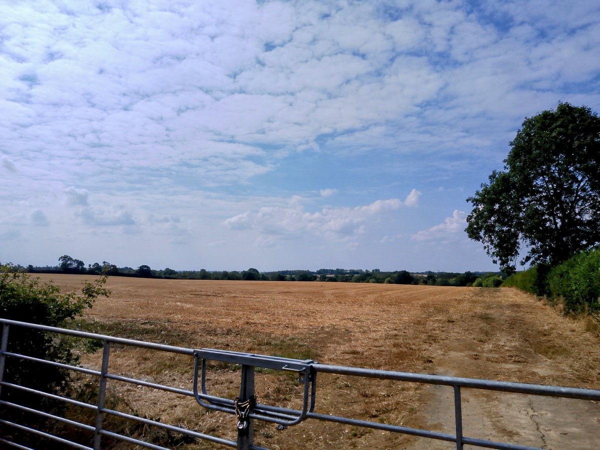 phil0073's tweet photo. The gateway to #Scrops , in #FaxtonFields , where the #LostRoad of #Scrops2RyeHill ran.#PhilOnaBike #lovegates #Thursgate #clouds #FridayFields https://t.co/VoDTm0HgWK