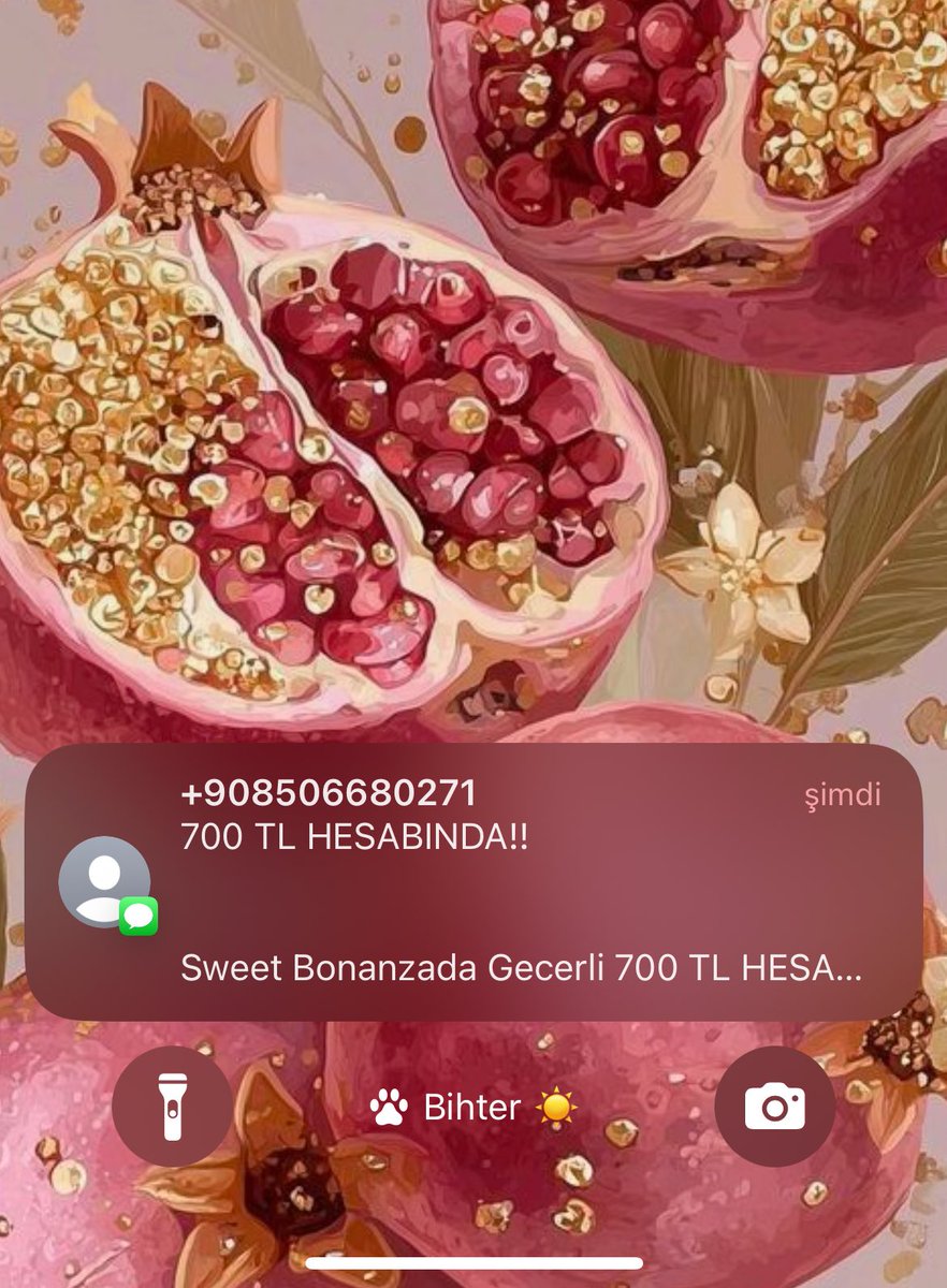 Yaa bu numaralar nedir bıktım artık yaa bir avukatından geliyor bir bu numaralardan bir ülke nasıl oluyorda vatandaşlarının özelini koruyamıyor engelliyorum engelliyorum farklı numaralardan geliyor. Nefret ediyorum yaa nefret!