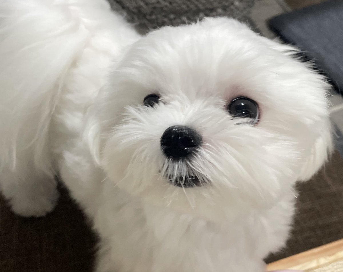 最近Twitterの更新サボりがち🙄