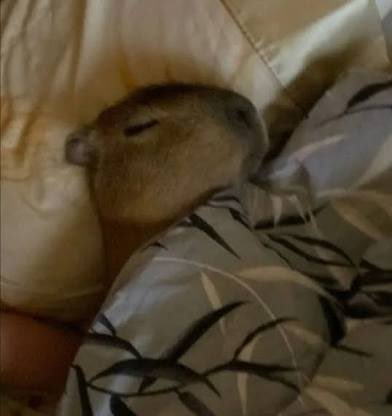 i’ll be up in a minute 💤