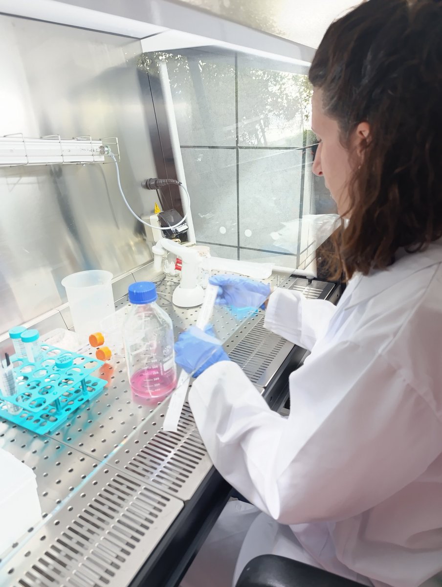 Instituto de Cerámica y Vidrio ICV-CSIC tweet media