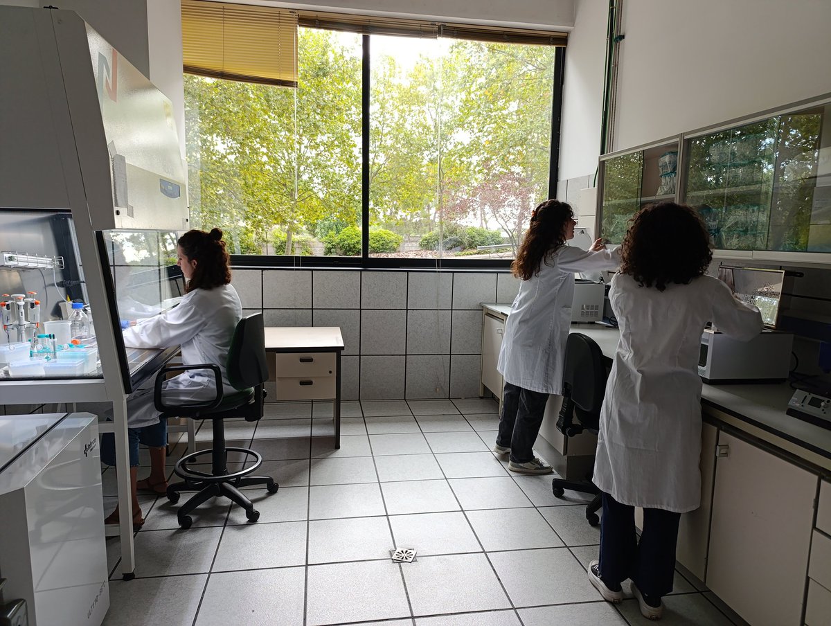 Instituto de Cerámica y Vidrio ICV-CSIC tweet media