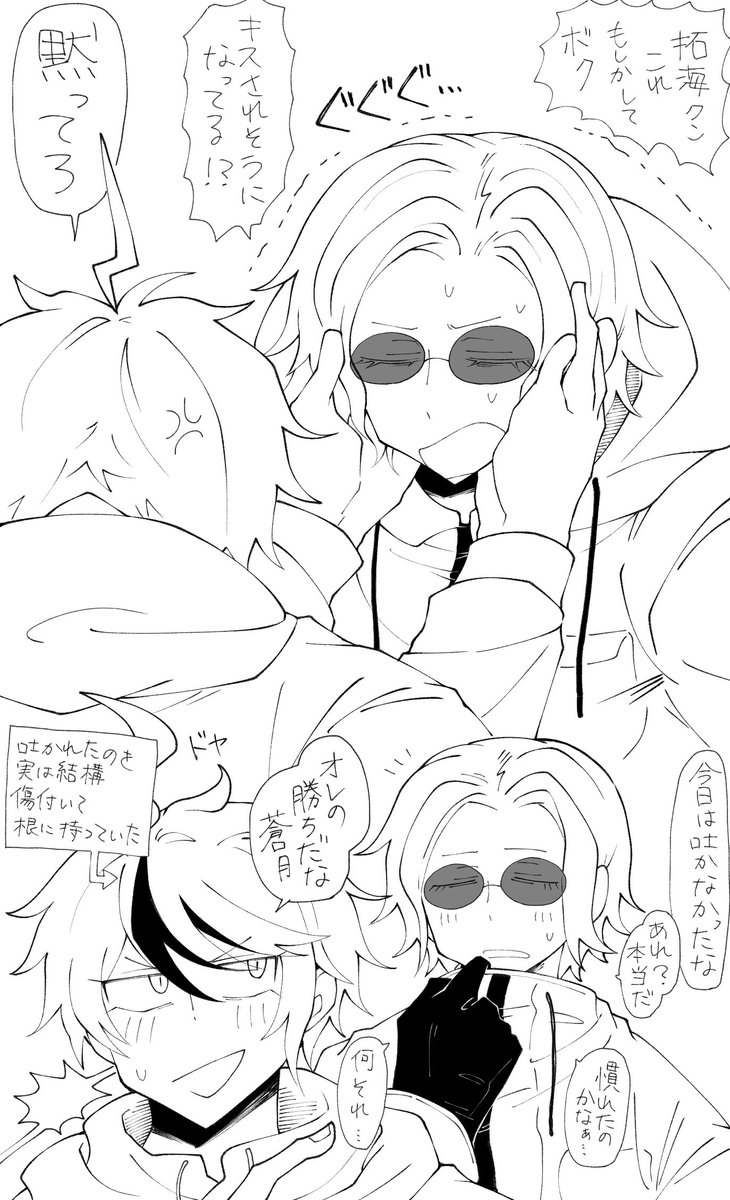 ﾊｿﾄﾞﾗ絵の再掲(拓衛)