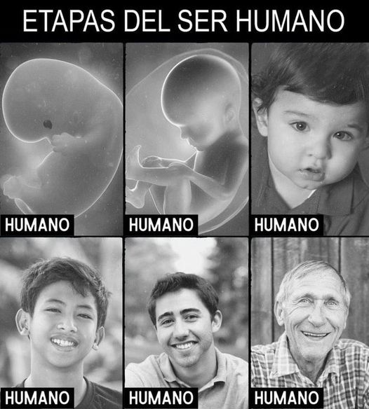 Abogados Cristianosﻦ (@abogadoscrist) on Twitter photo 