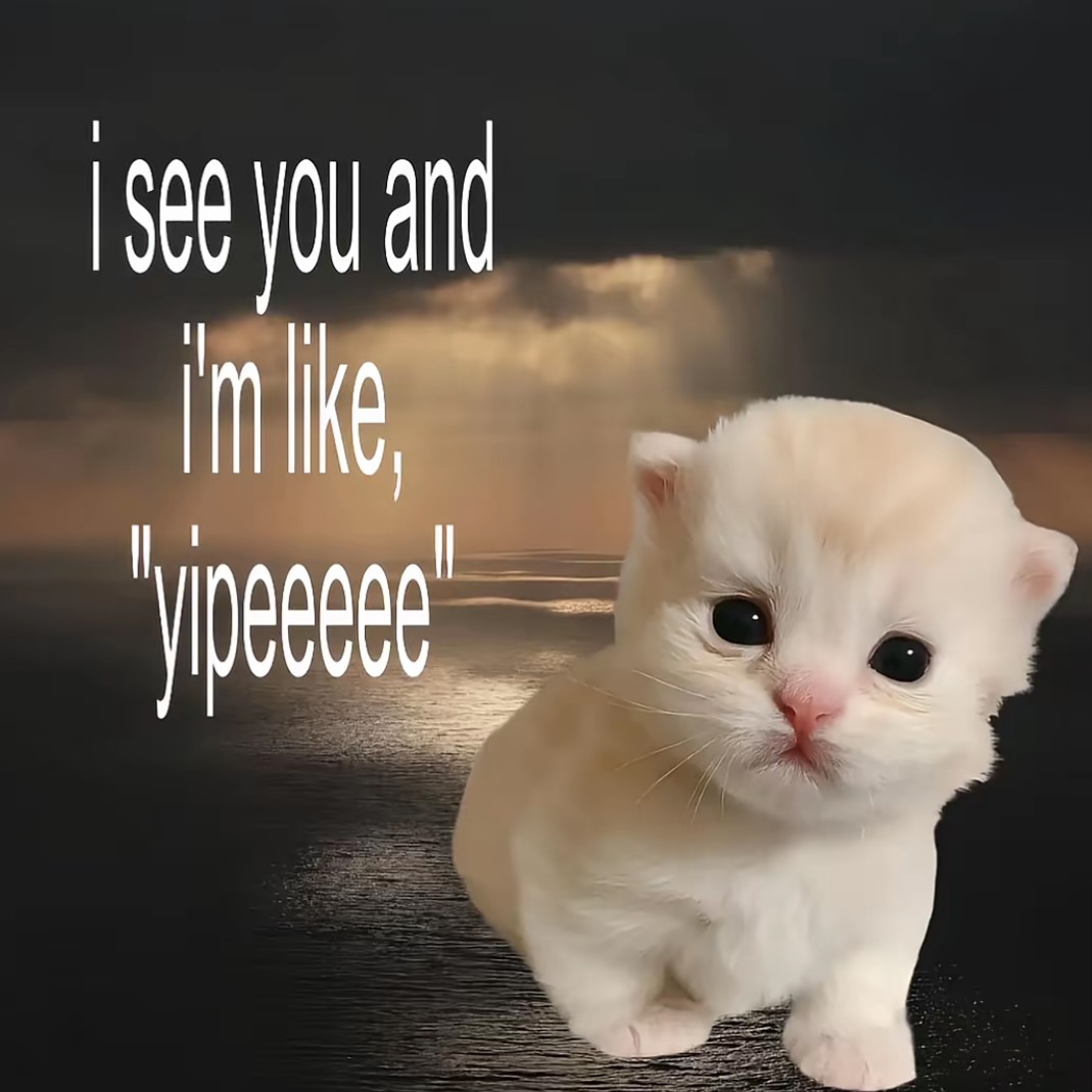 Catsillyness's tweet photo. https://t.co/67wheTY5G4
