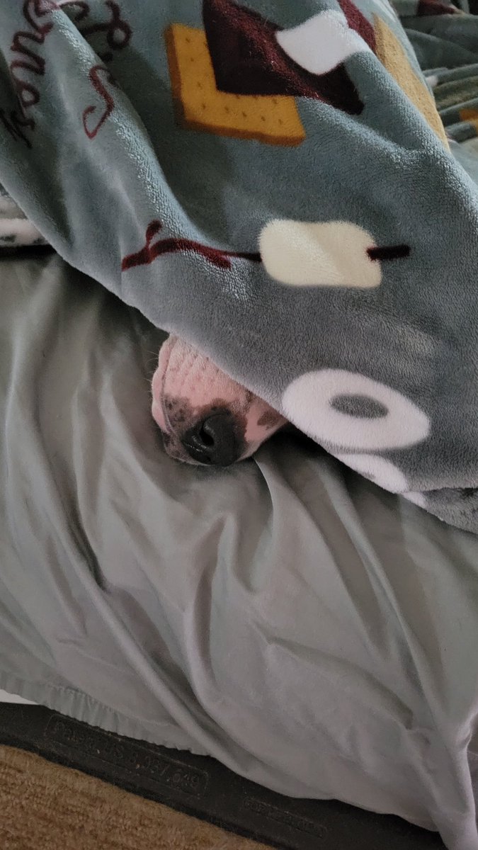 like a parrot once you cover her eyes she'll go back to sleep