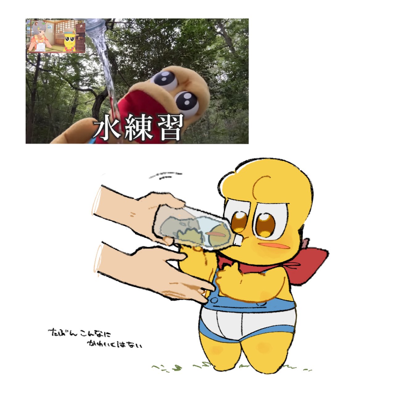 ぽぽぽぽーん🍃🥜 on X: 