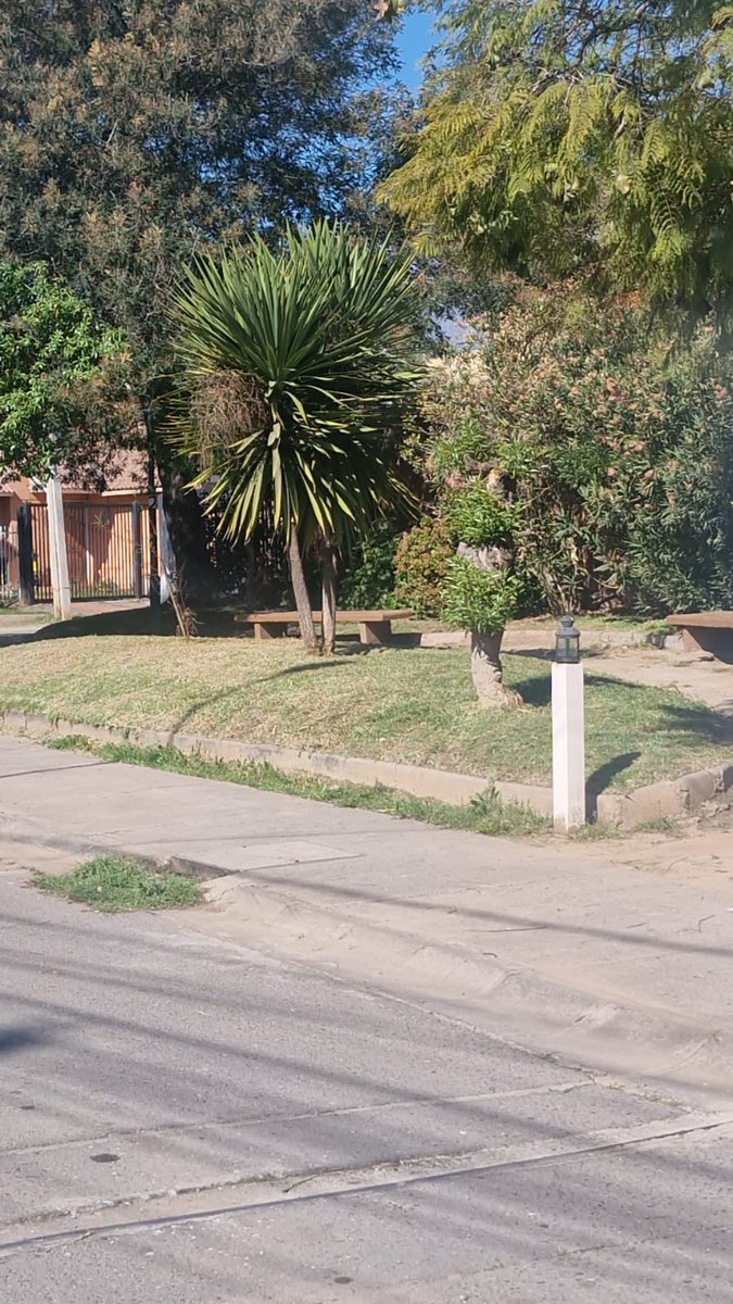 JjvvSan's tweet photo. Los vecinos de la comunidad de #ParqueSanFranciscoOriente agradecen a la cuadrilla municipal de áreas verdes por su trabajo y  la @mpuentealto por realizar la gestión... Que muy hermoso...
Mil gracias... @matiastoledoh #PuenteAlto https://t.co/dO5z1vT1KK
