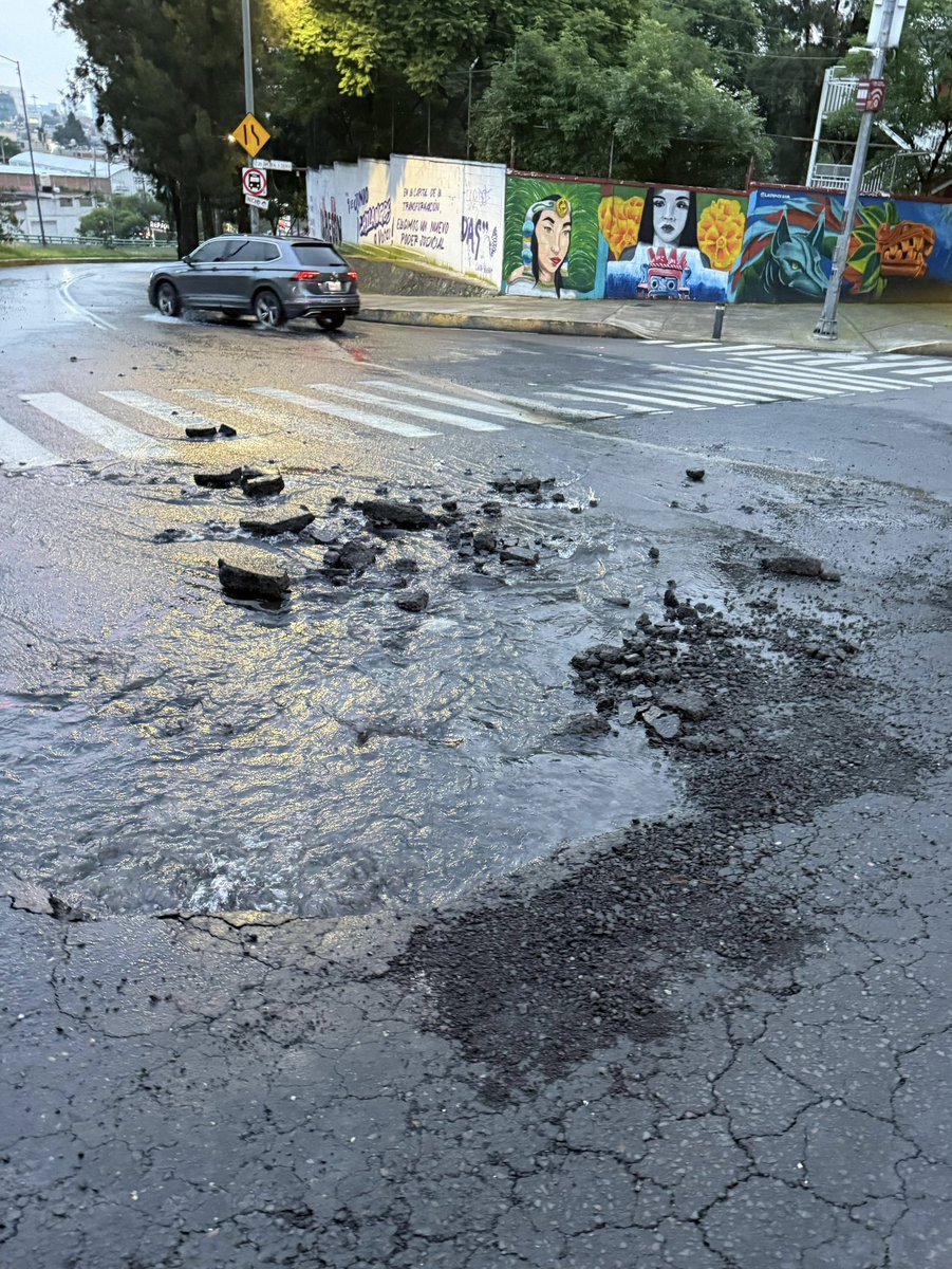 Liz Salgado Viramontes tweet media