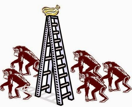 Money Explorers tweet media