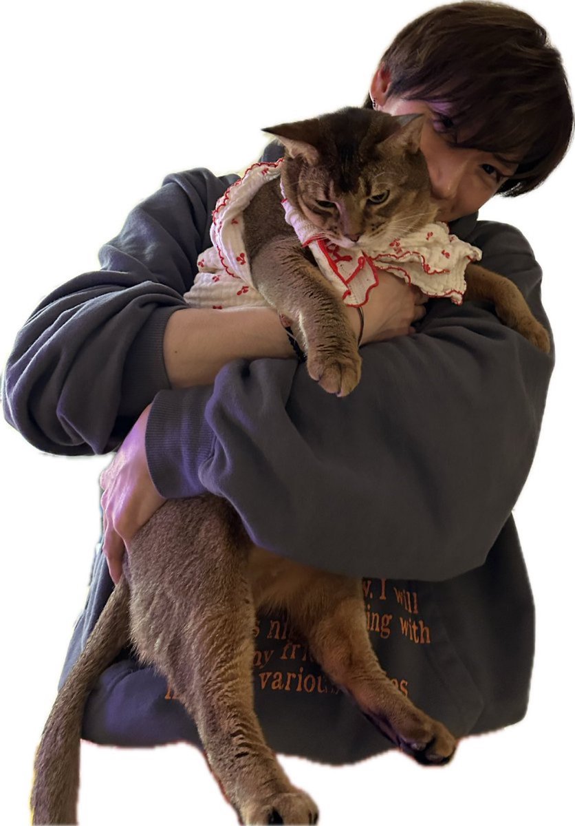 ออนเหนื่อยแล้ว ป่าป๊าไปคุยกับคนอื่นเถอะนะ นู่นไปพูดกับพี่ลูอีนู่นไป หนูเหนื่อยแล้ว