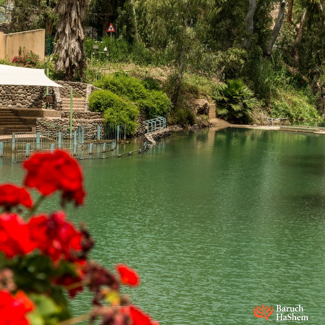 Baruch_HaShem's tweet photo. And he came into all the surrounding region of the Jordan, proclaiming an immersion of repentance for the removal of sins.
#BHSDallas #JewishMessiah #Luke #DaysofRepentance https://t.co/JfeQrS2ah8