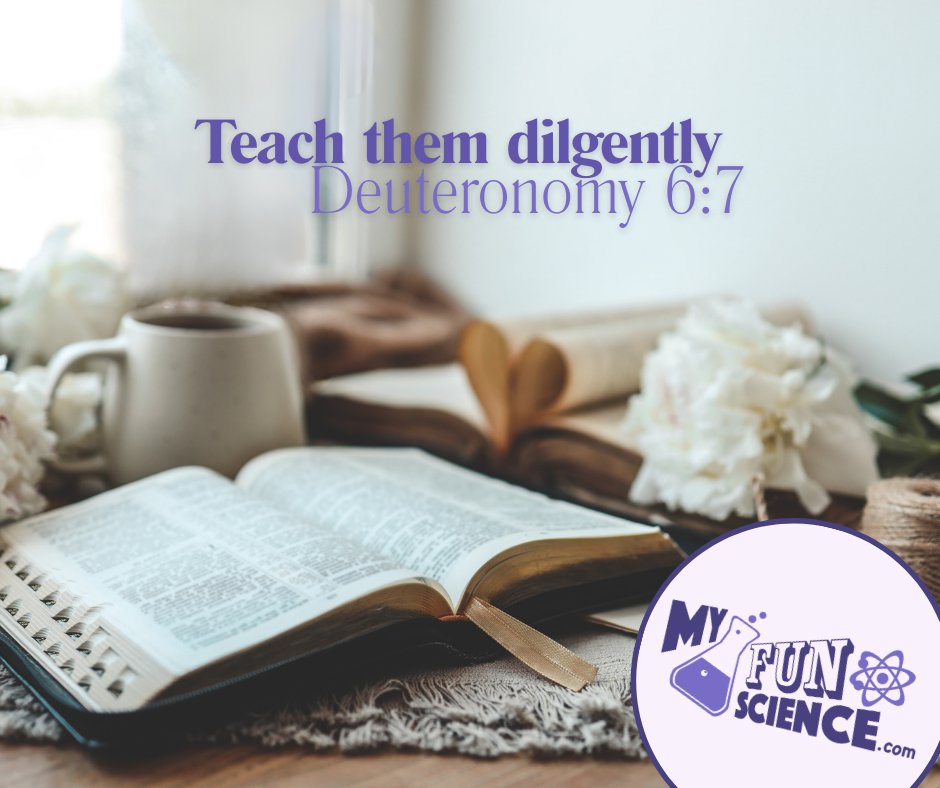 Homeschooling is more than academics — it’s discipleship. 💛

At MyFunScience, every subject is taught with a Biblical worldview, pointing students toward truth and confidence in Christ.

What’s your favorite part of faith-based homeschooling?

#HomeschoolEncouragement
