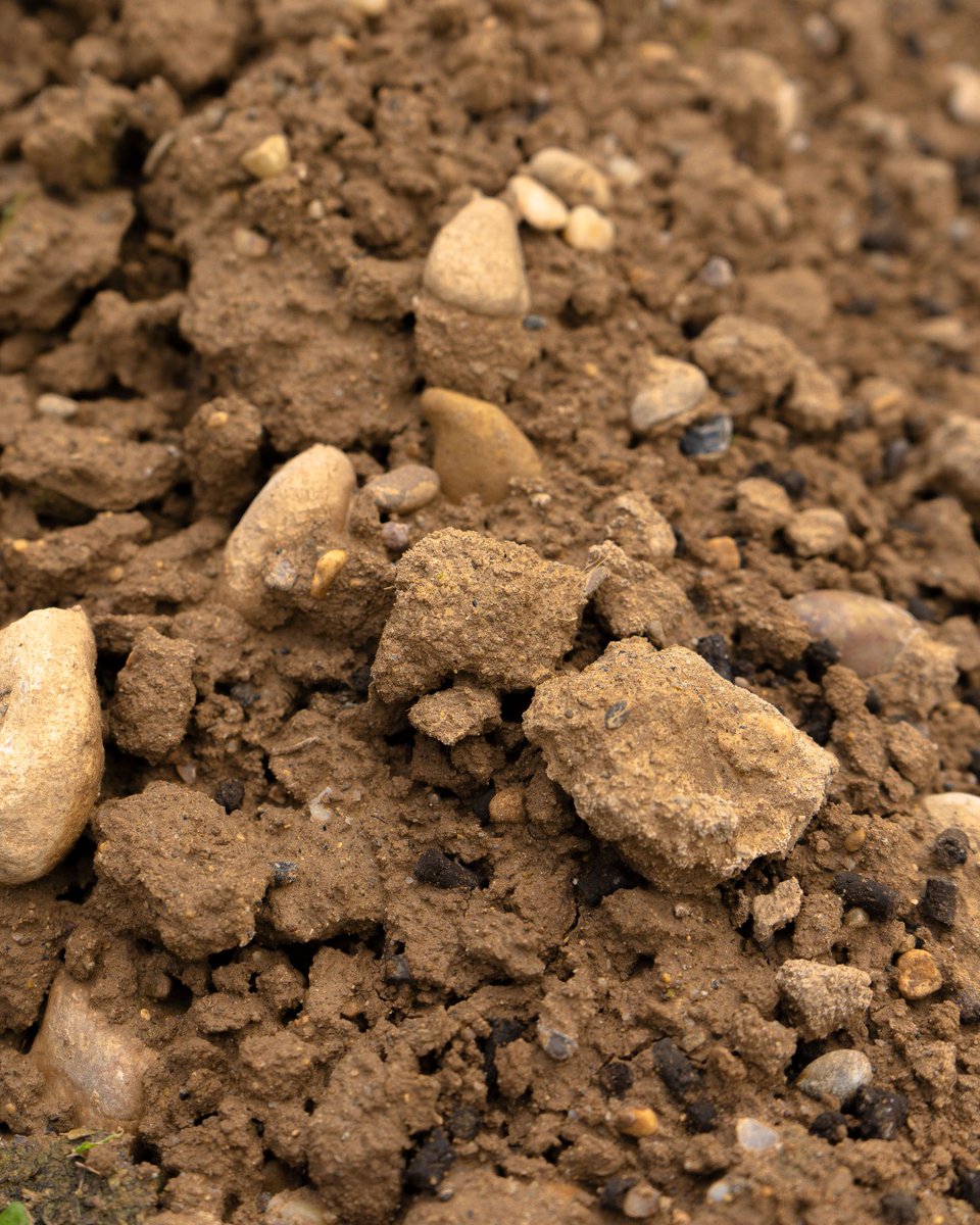 🌱 ¡Donde todo empieza!
Desde la misma tierra, hasta formar parte de vuestras celebraciones y fiestas. Todo un proceso, toda una historia detrás de cada botella de vino.
#bodega #bodegapirineos #barbastro #huesca #vinos #pirineo #spanishwine #spanishwines #vinoespañol #enoturismo