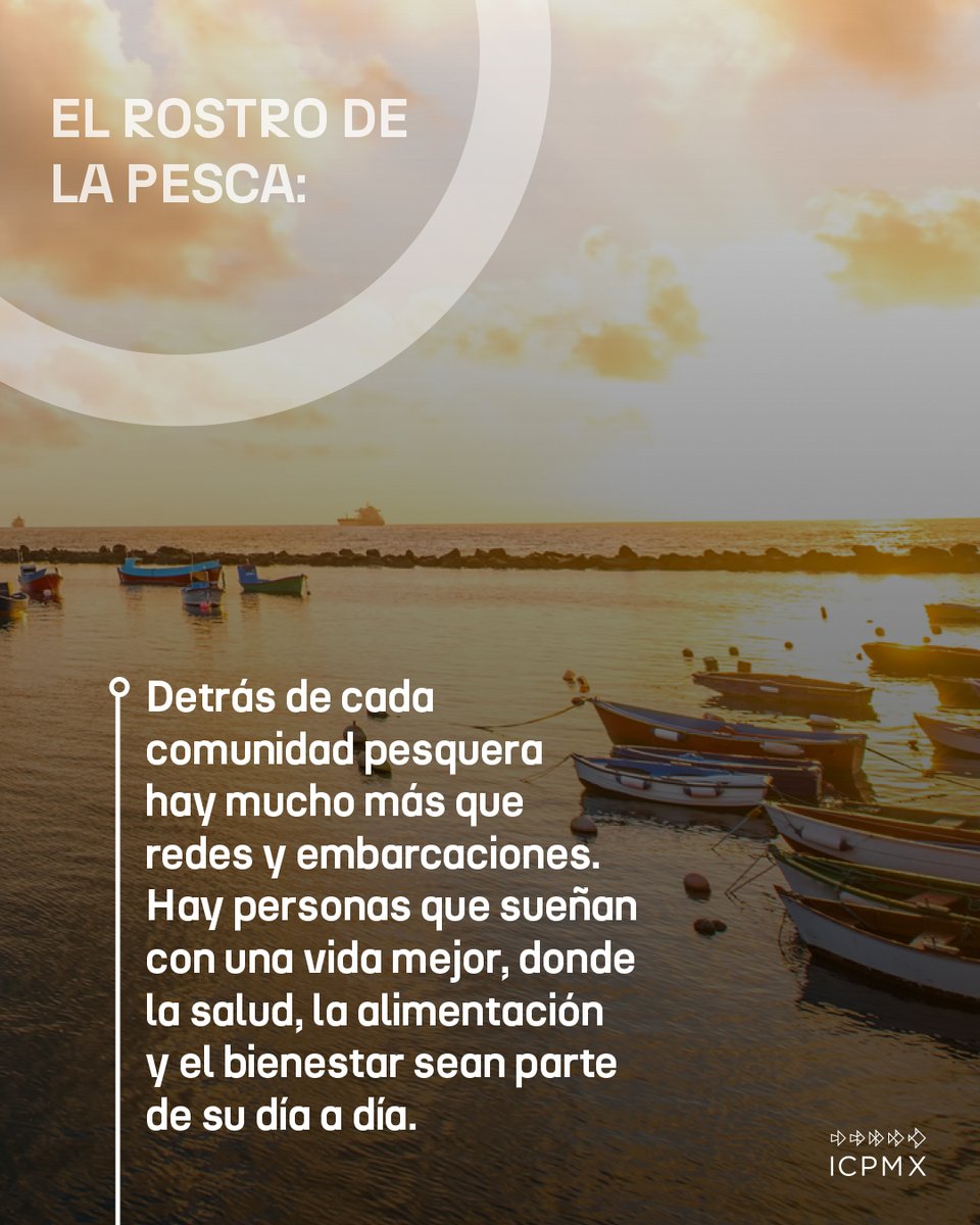En ICPMX, creemos que fortalecer el tejido social significa:
- Mejorar el acceso a servicios de salud y bienestar.
- Impulsar espacios seguros y de convivencia para las familias.
- Fomentar una alimentación nutritiva.
- Promover la igualdad de género como base para el desarrollo.