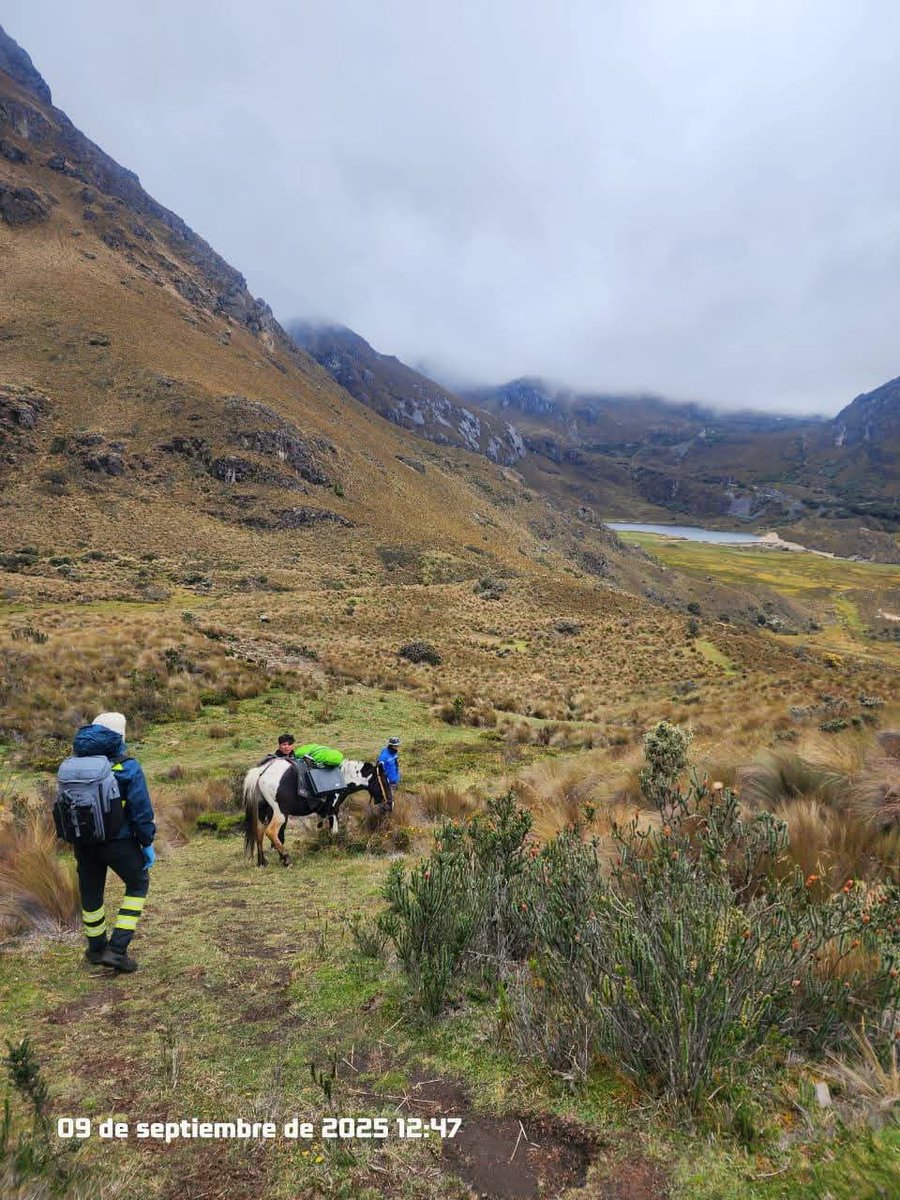 #perdidos 
Tres días y tres noches llevan desaparecidos en el  Parque Nacional Cajas, (Montañas de Cuenca) dos personas, entre ellos, Diego Pacheco y Wilson Bustillos. 
Los perdidos tuvieron un último contacto con familiares el domingo en la noche, a eso de las 20:00