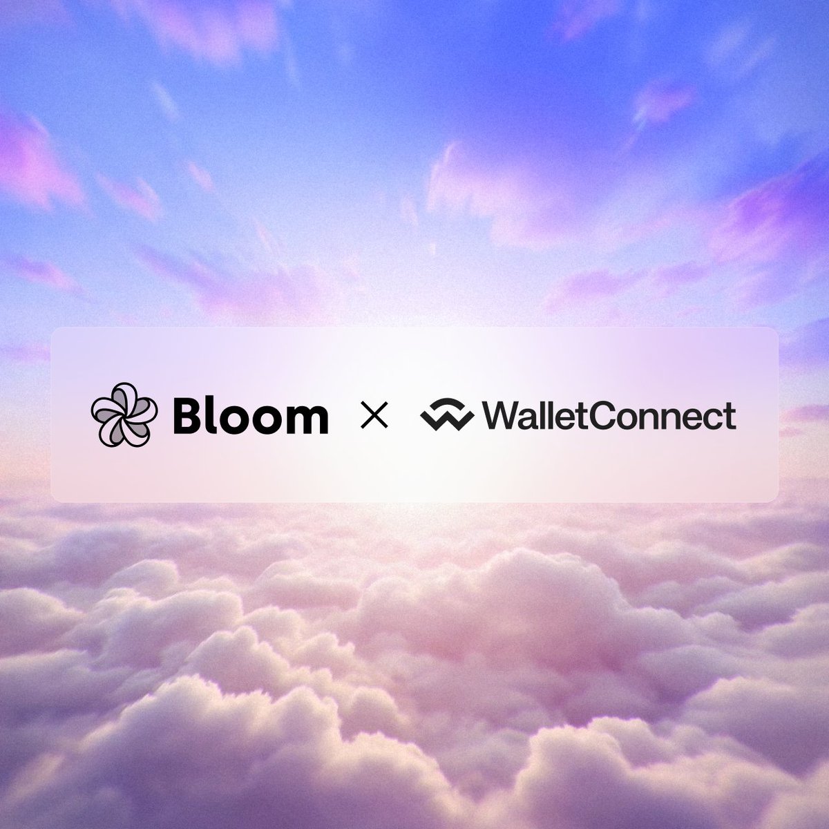 Bloom (@bloomwalletio) on Twitter photo We’ve partnered with <a href="/WalletConnect/">WalletConnect</a> to make Bloom accessible for crypto natives.
WalletConnect gives users the ability to connect with 700+ wallets and jump straight into social trading within seconds. We’ve partnered with <a href="/WalletConnect/">WalletConnect</a> to make Bloom accessible for crypto natives.
WalletConnect gives users the ability to connect with 700+ wallets and jump straight into social trading within seconds.