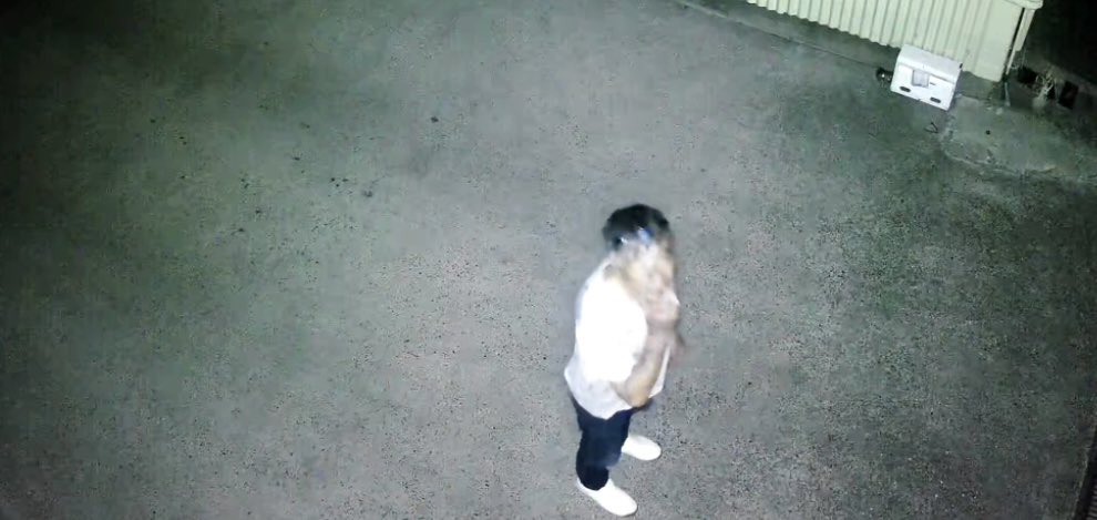 防犯カメラ作動したからチェックしたらタバコ吸ったおっさん侵入してた🤦
普通この時間に人の会社の敷地入るか？？？