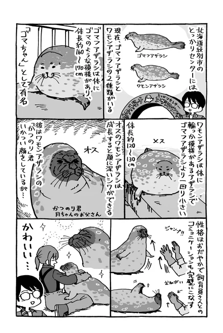 とっかりセンターのかつのり君 