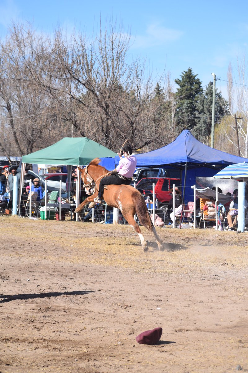 🏇 COMENZÓ EL CAMPEONATO PROVINCIAL DE JINETEADA

Barda del Medio vivió dos jornadas a pura emoción con 72 jinetes de toda la provincia buscando su lugar en la delegación rionegrina rumbo a Jesús María 2026

#Jineteada #RíoNegro #JesúsMaría2026 #Doma #PruebasDeRiendas