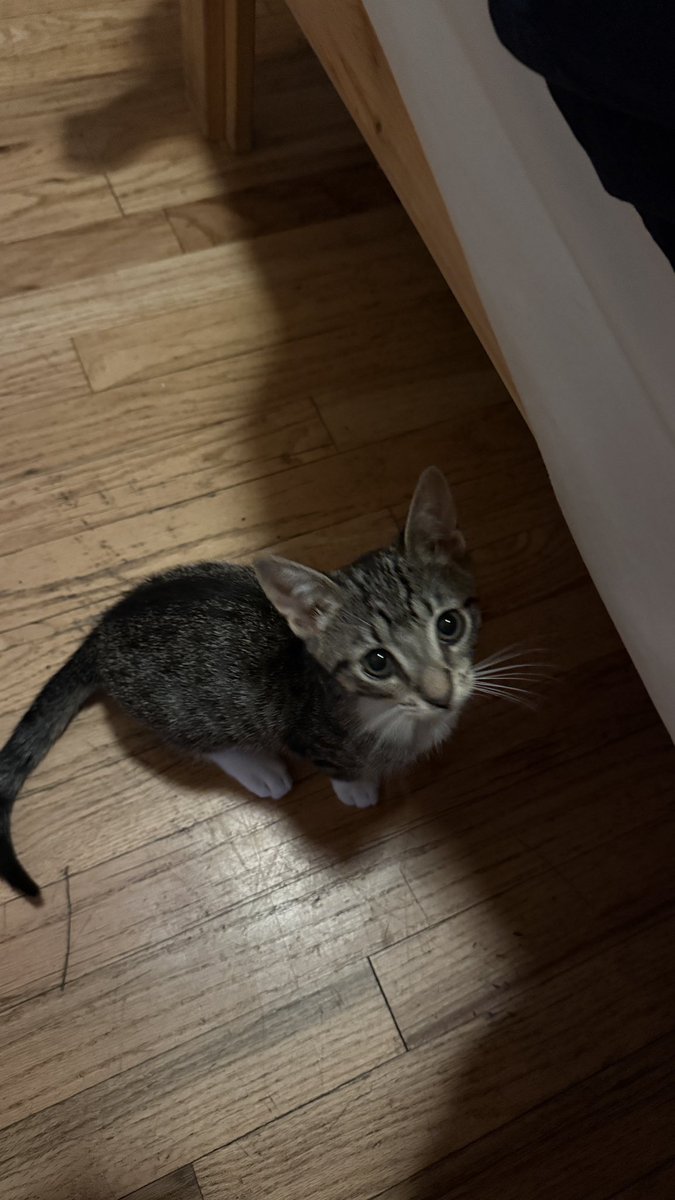 the art                     the artist