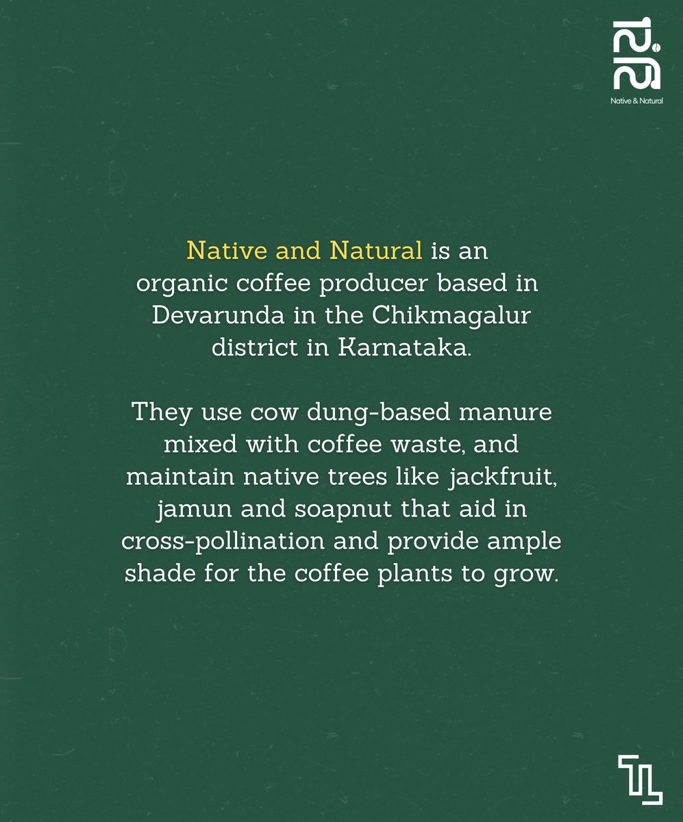 TheLocavoreIn's tweet image. Established in 2023 by father-daughter duo Dinesh MJ and Shriya Dinesh, our latest #TLpartner producer Native and Natural is an organic coffee producer.

Read on: thelocavore.in/2025/09/08/nat…

#OrganicCoffee #Karnataka 

(1/4)