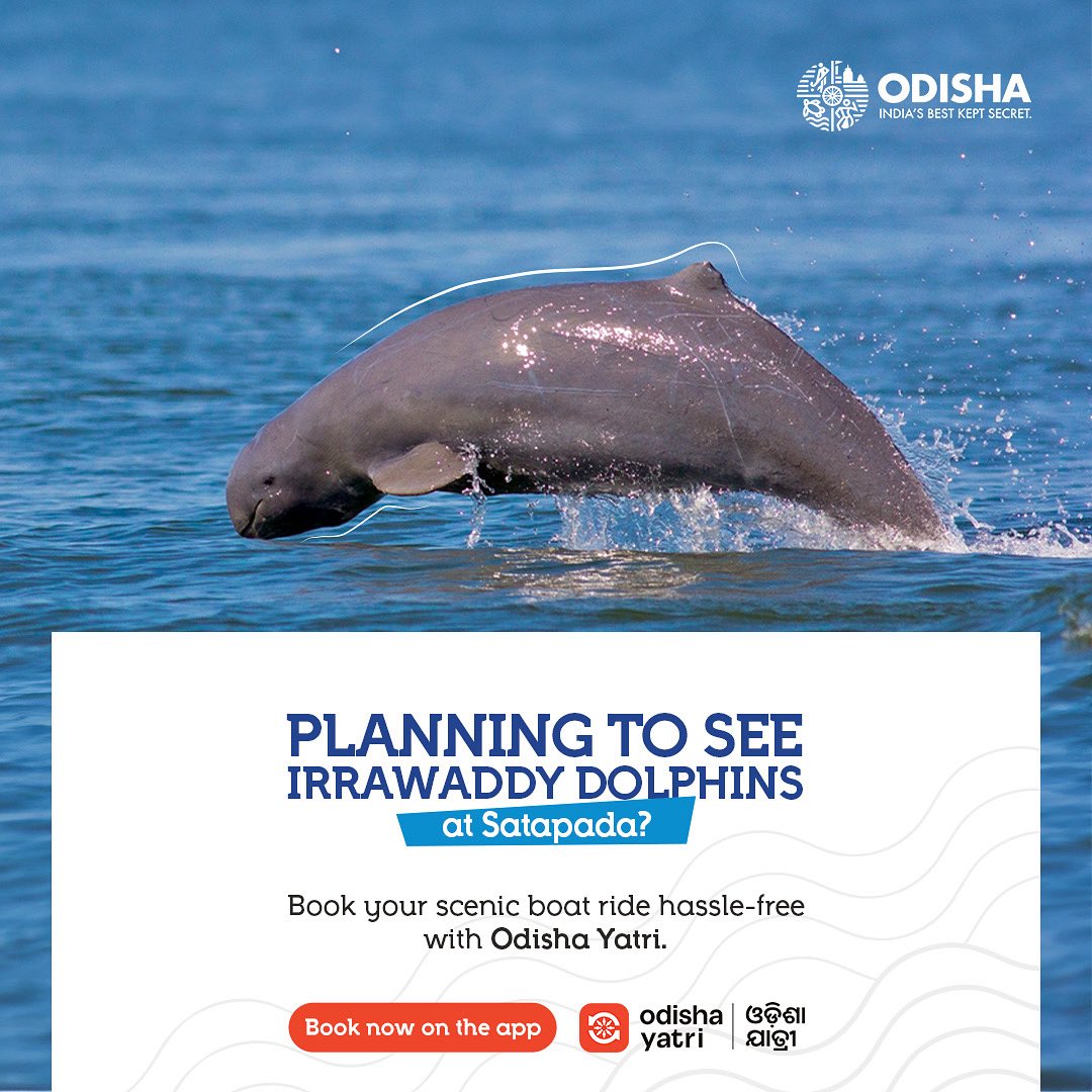 odisha_tourism's tweet photo. See rare Irrawaddy Dolphins at Satapada
Plan with us for a scenic boat ride across the serene waters of #Chilika and watch these graceful creatures in their natural habitat.
🎫Book your hassle-free ride now with Odisha Yatri App and make your #Satapada trip unforgettable!
#IrrawaddyDolphins #ChilikaLake #OdishaYatri #ExploreOdisha #EcoTourism