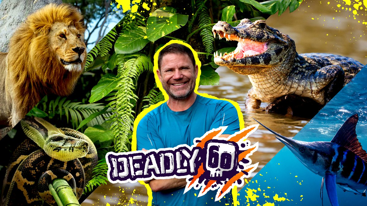 Guy Lambert tweet media