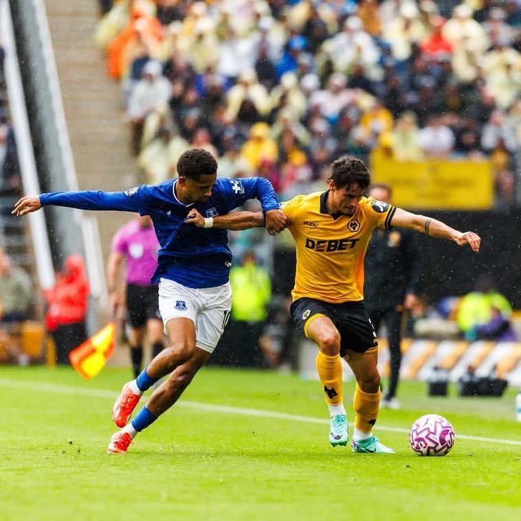 Talking Wolves tweet media