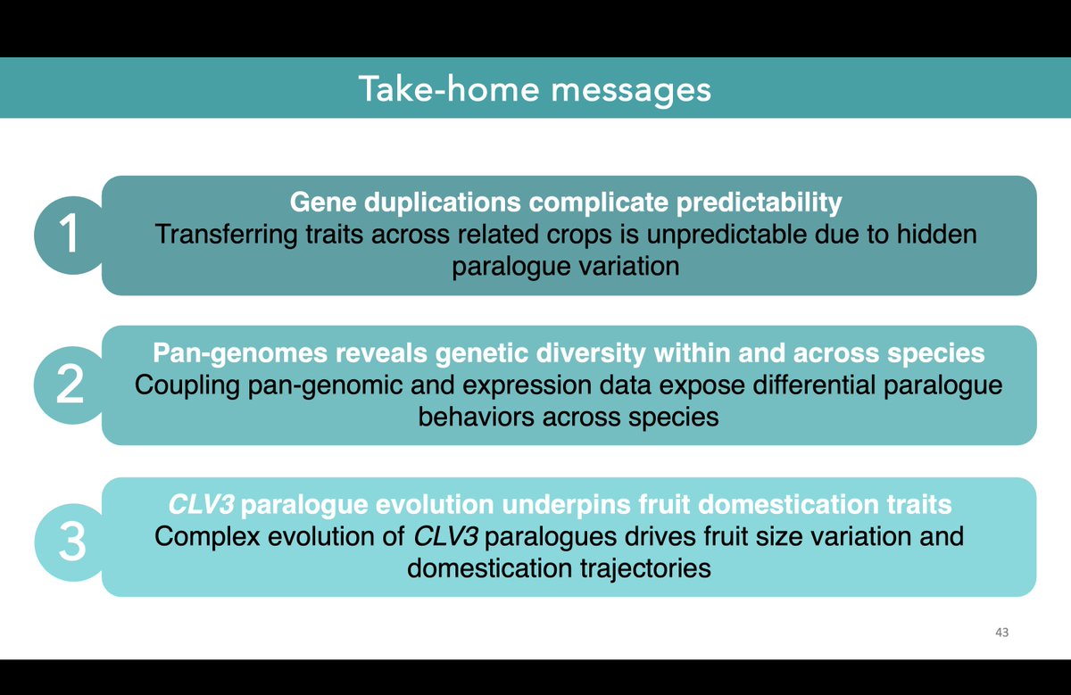 Matt_Ben_'s tweet image. Thank you @APGCScotland @JamesHuttonInst for the invitation to talk about our recent study on the impact of gene duplications on predictable trait engineering in crops 🍅🥔🍆 I enjoyed the stimulating discussion!