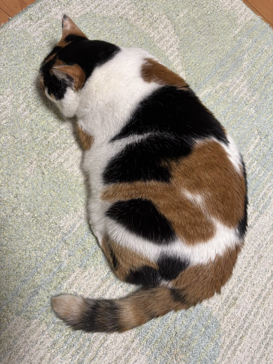 同じような構図だけど、毎日撮っちゃう不思議！