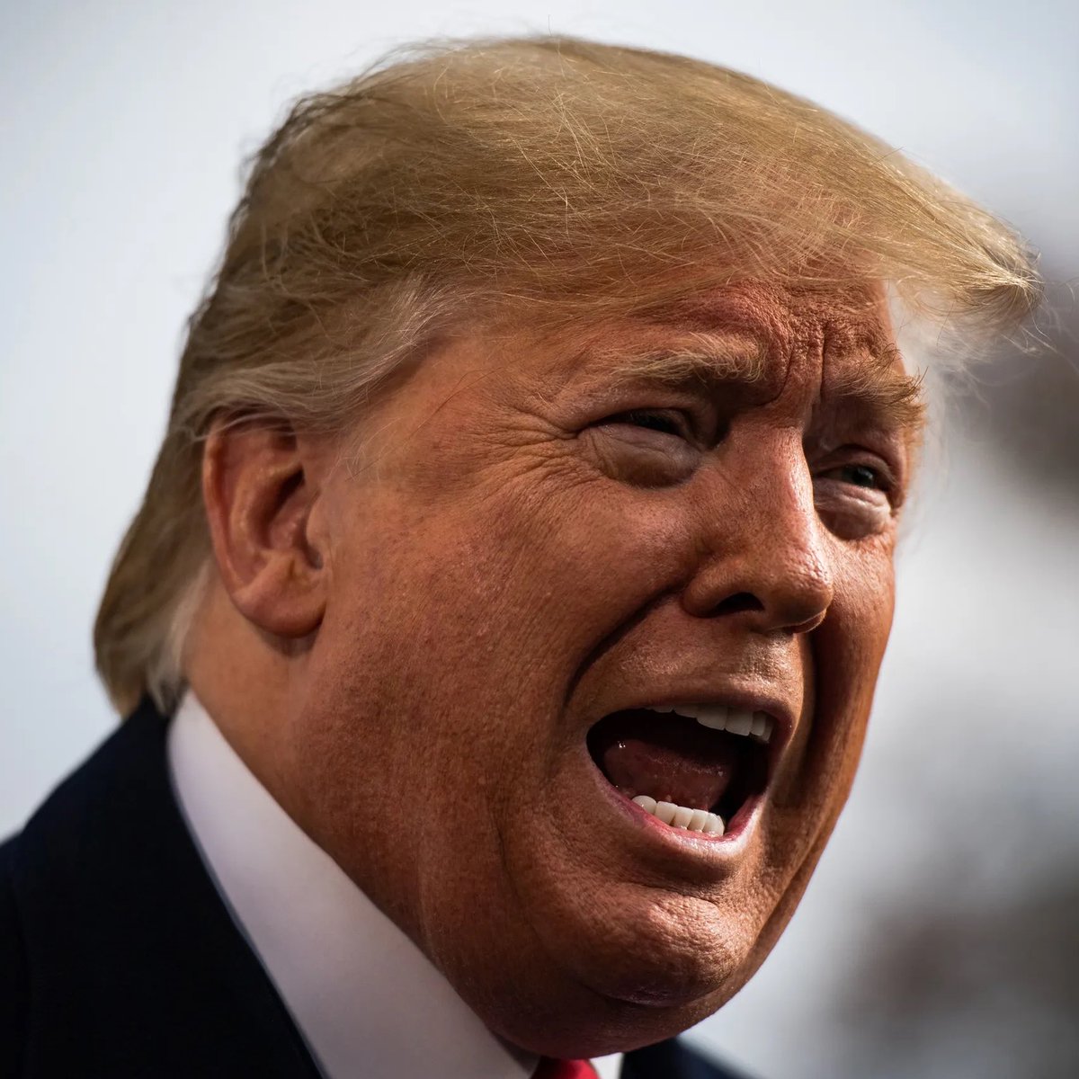 Whale Insider tweet media