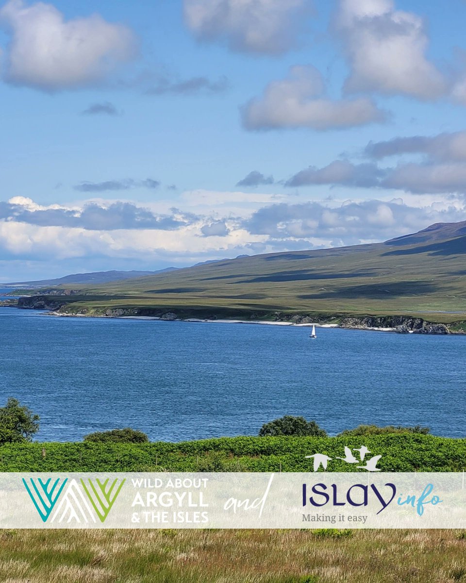 This autumn, swap the everyday for salt air and sweeping sea views on the captivating Isle of Islay. 

Let your autumn story begin here - explore live accommodation availability with ease at islayinfo.com/stay
#Islay #Scotland #VisitScotland #Holidays