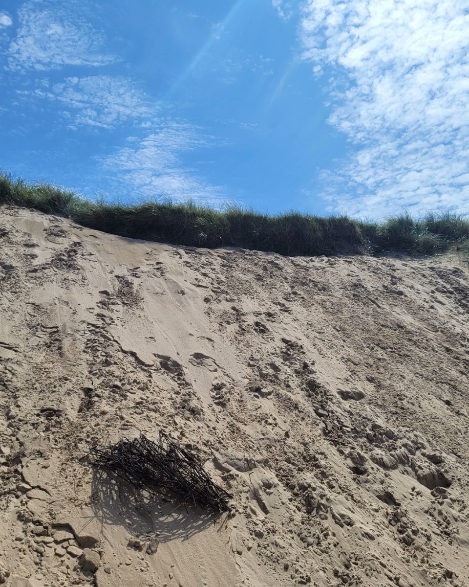 Few places offer a connection to nature quite like Islay’s coastline. 

With dramatic cliffs, sheltered bays, and miles of open shoreline, the island’s ever-changing seascapes are a constant source of inspiration and calm.

islayinfo.com/stay 
#CoastalRetreat #VisitScotland