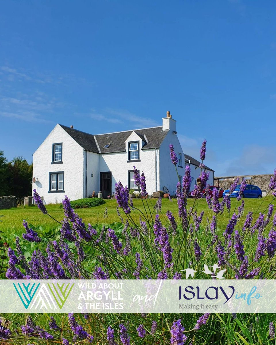 With Islay Info, you can view local accommodation with live availability - no waiting, no wondering. Just pick your dates, choose your stay, and get ready to explore one of Scotland’s most stunning islands.

Book now, relax later: islayinfo.com/stay

#islay