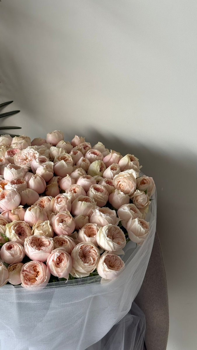 جمال لونها طااااغي🤍🤍🤍🤍🤍💌