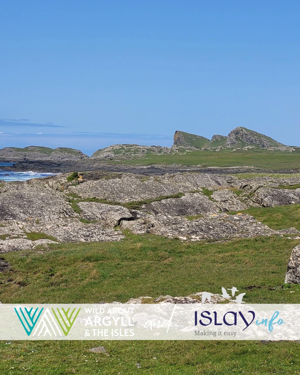 isleofislay's tweet image. Gaze out across endless horizons where the Atlantic meets the sky, a view that never fails to stir something within.

Let the ocean set the pace of your stay 
islayinfo.com/stay
#Islay #IsleofIslay