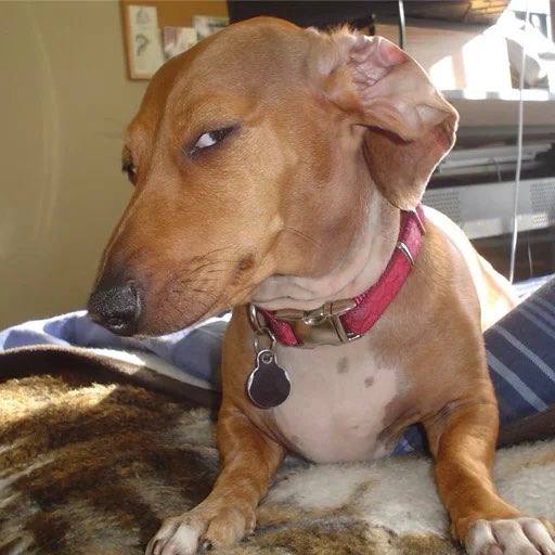 Cl4w🧲 tweet media