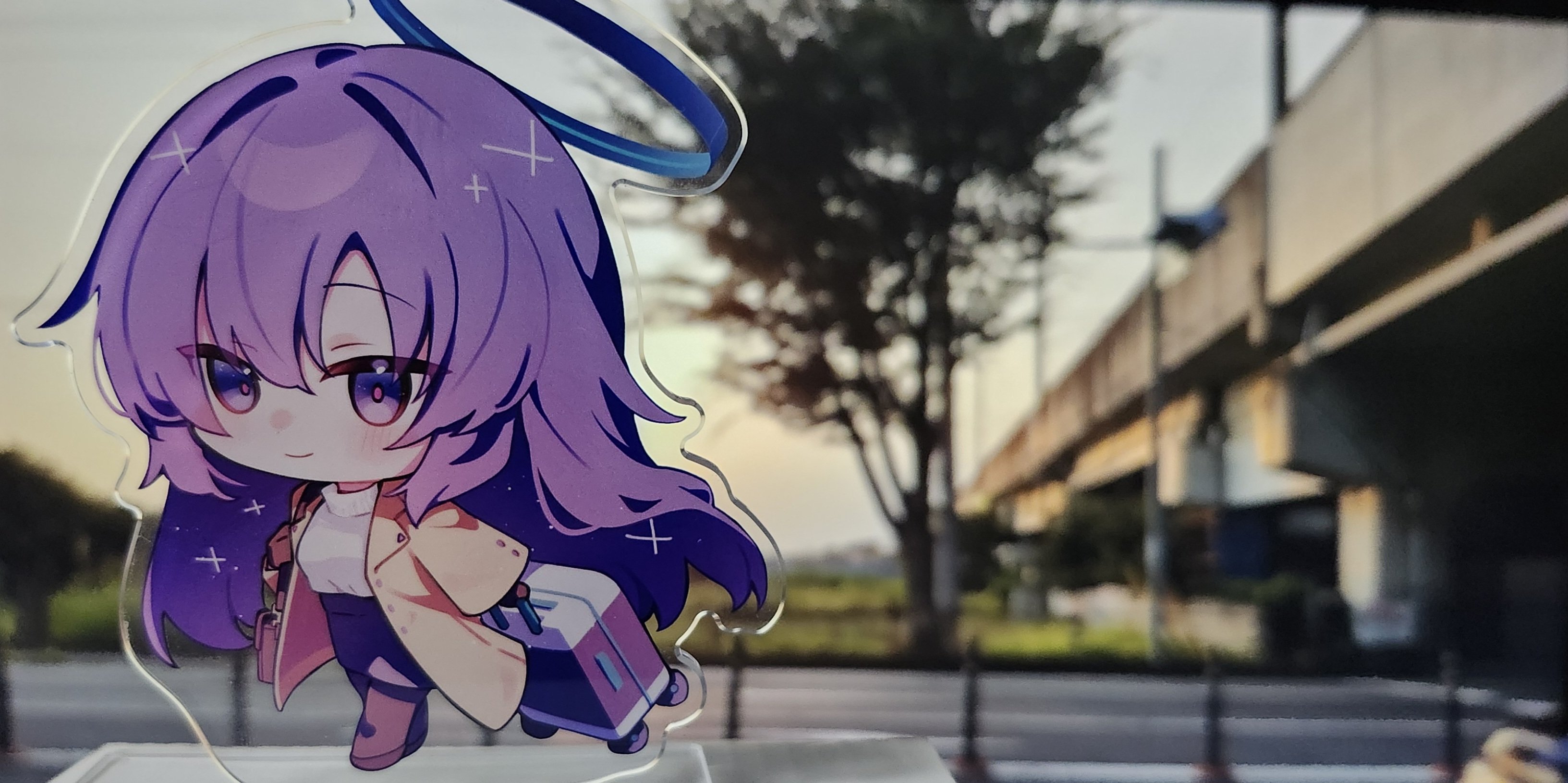Yuukaさま専用 扇子セット 霞扇（男女兼用） | 商品詳細 | 高島屋オンラインストア