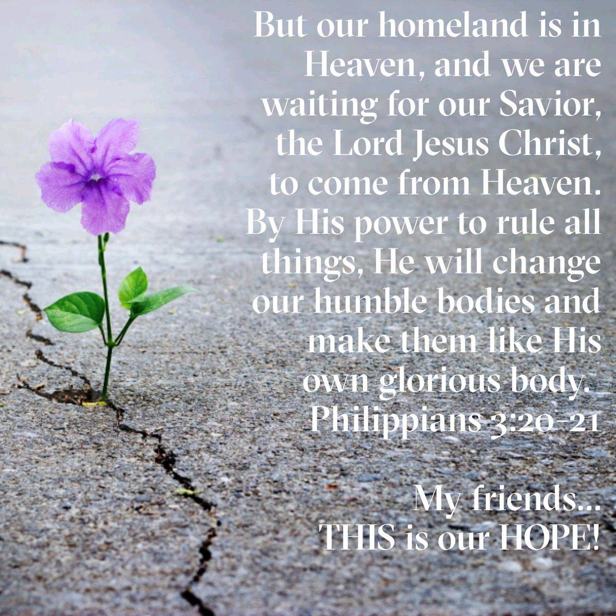 edlambz's tweet photo. #Salvation   #Comes   #From   #Faith   #In   #Christ   #Hope
#TheWord
#JesusSaves
#TheMessageDaily https://t.co/lERGTZLAIy