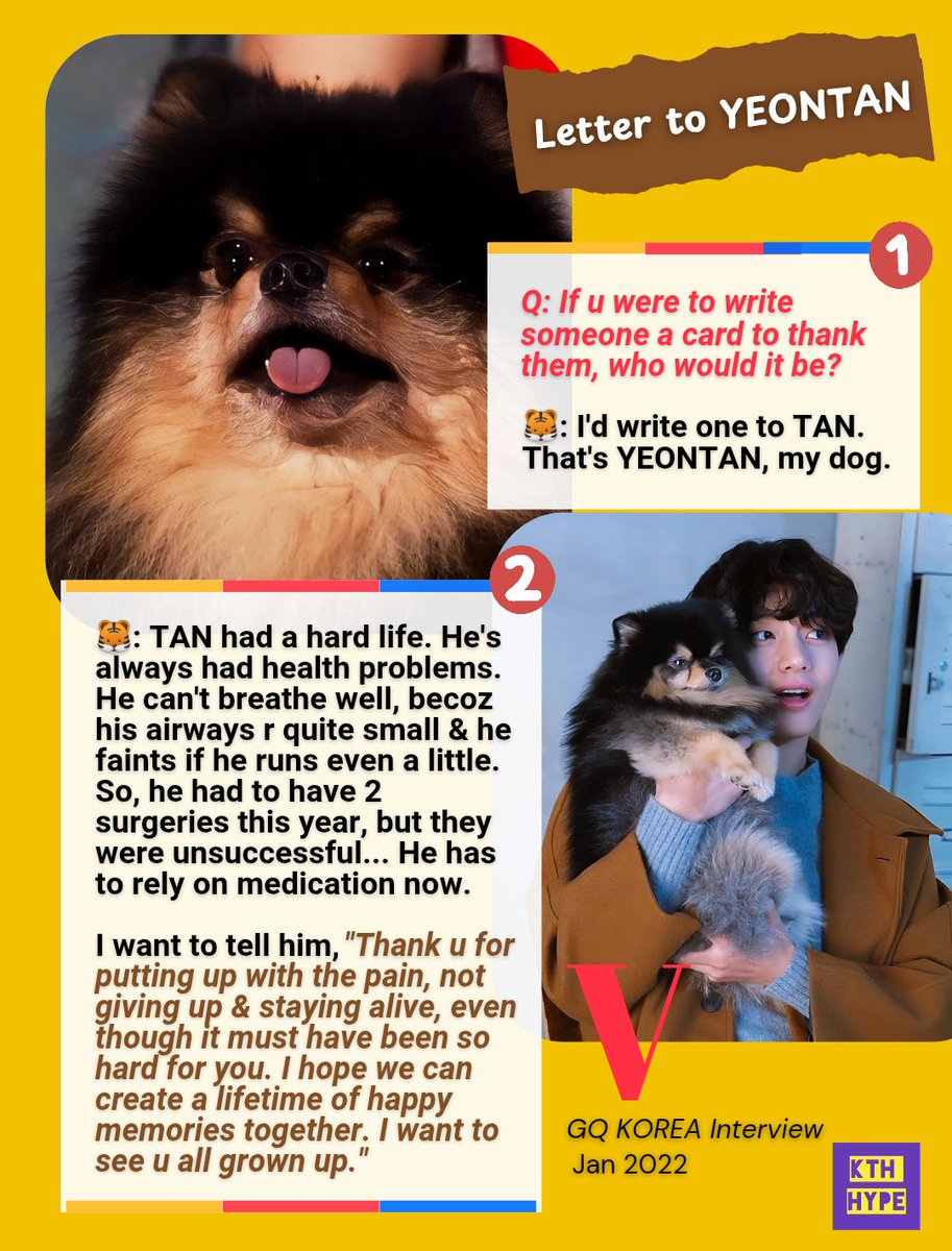 kthhype_ttg8's tweet photo. 1️⃣ V's late dog, YEONTAN's birthday was celebrated by fans with meaningful donations.

2️⃣ Sept 7 was YEONTAN's 8th birthday.. He has been loved so much by fans that he has been called the 8th member of BTS.

3️⃣ YEONTAN was known to have been in poor health since he was adopted. 

In an interview with GQ KOREA in Dec 2021, when aske,  "If u were to write someone a card to thank them, who would it be?" 

V expressed his desire to write a card to YEONTAN. He expressed his affection by saying,

▪️"I would wrote one to TAN, that's YEONTAN, my dog.  TAN had a hard life. He's always had health problems. He can't breathe well, becoz his airways r quite small & he faints if he runs even a little. So, he had to have 2 surgeries this year, but they were unsuccessful... He has to rely on medication now".

▪️"I want to tell him, "Thank u for putting up with the pain, not giving up & staying alive, even though it must have been so hard for u. I hope we can create a lifetime of happy memories together. I want to see u all grown up."

4️⃣ On Dec 2 last year, V posted several photos of YEONTAN on his INSTAGRAM.

V shared the sad news, saying, "Recently, YEONTAN went on a long journey to the puppy star. I would appreciate it if u could think of YEONTAN once in a while, so that he can be happy even among the stars."

5️⃣ In Apr this year, in conjunction with National Pet Day, YEONTAN was crowned the Most Beloved Pet in the World after winning a BILLBOARD poll over many other famous celebrity pets with 94.56% of the votes. YEONTAN was still cherished even after his passing. 

Little YEONTAN received so much love & attention from fans all over the world that
foreign media outlets, BRITISH media outlet METRO UK & CBS ENTERTAINMENT TONIGHT host DENNY DIRECTO even referred to YEONTAN as one of the most famous dogs in the world.

6️⃣ On YEONTAN's birthday, the hastag  #ForeverWithYeontan ranked #1 on worldwide real-time trending list & #tannie ranked #2,
showing just much fans still cherish his memory.

7️⃣ Fanbases around the world also sent meaningful congratulations thru various donations on YEONTAN's birthday.

▪️V's global fanbase @VGlobalUnion & @KTH_UK announced that they donated to UK's @RSPCA_official, an organization who works to protect, rescue & care for all animals.

▪️The SPANISH fanbase @BTSVSpain donated to VEGAN SANCTUARY FOUNDATION, the 1st of its kind in SPAIN, to commemorate the memories & love they shared with YEONTAN. 

The organization operates as rescue & recovery centre for farm animals, victims of livestock exploitation, abandonment & mistreatment.

▪️In addition, INDIAN fanbase @Taehyung_india_ donated in V's name to the ANIMAL WELFARE & CARE SERVICES TRUST in PUNJAB @navneet_AWCS to help the countless animal victims affected by last month's devastating floods in PUNJAB, INDIA.

▪️Meanwhile, BRAZILIAN fanbase, @VCrewBrazil also donated to the animal welfare organization, PROJECTO CEL to celebrate the 2nd anniversary of LAYOVER & YEONTAN's birthday.

▪️Also, V's MYANMAR fanbase, @myanmar_btsv also donated  to OASIS SHELTER which is a place that cares for homeless pets! 

#BTSV