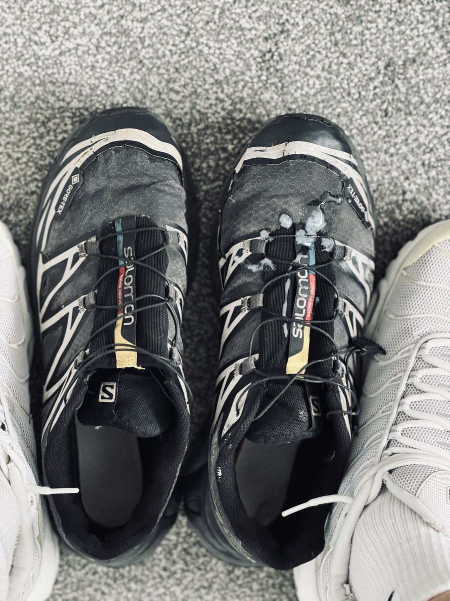 Samuel (@piggy_samuel) on Twitter photo 