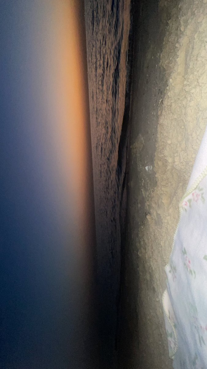 itzs8_'s tweet image. Last 2 days
