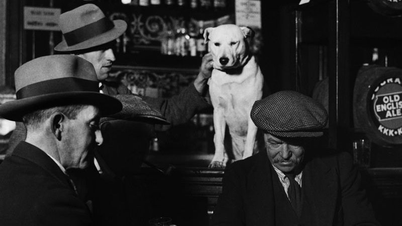 “Is it bearable being nagged all day long by people whose petty lives have become unbearable for themselves?”
“Perhaps it is. Sometimes people only need to be listened to. Try.” 
#vss365