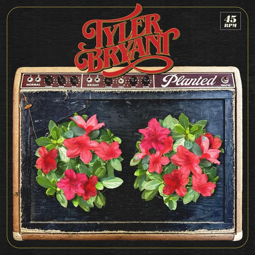 NCRinNA's tweet photo. New Rock Releases:
Tyler Bryant - Planted 9/5/25
Bison - Dangerous Man 8/30/24
π§ https://t.co/uMPph6iAp0 @TBSHAKEDOWN #TylerBryant
π§ https://t.co/xDOFblAGqU #Bison
New Rock Covers:
Derek Day - Take On Me (A-Ha)
π§ https://t.co/87fkrPPPKr @derekdaymusic #DerekDay https://t.co/iGORxik1WB
