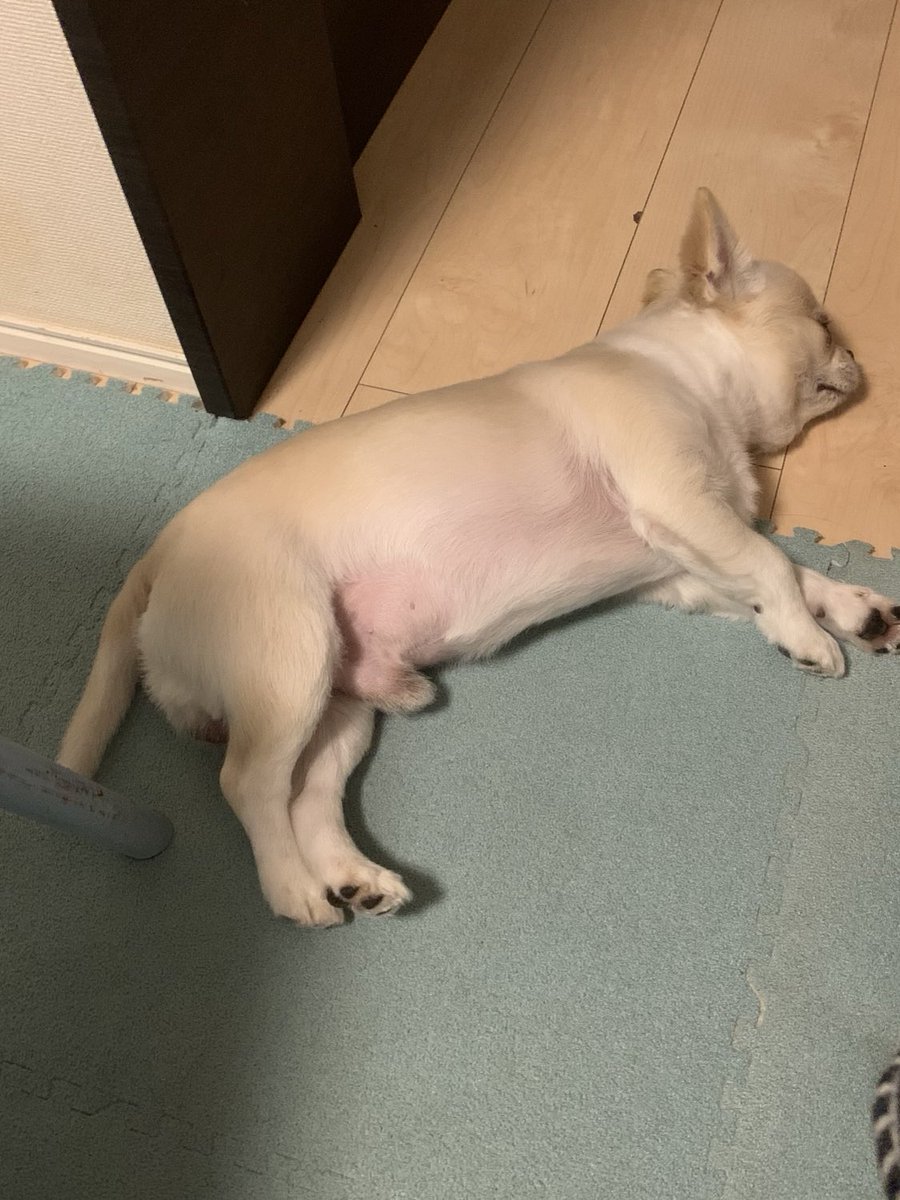 ダウンしました⤵️