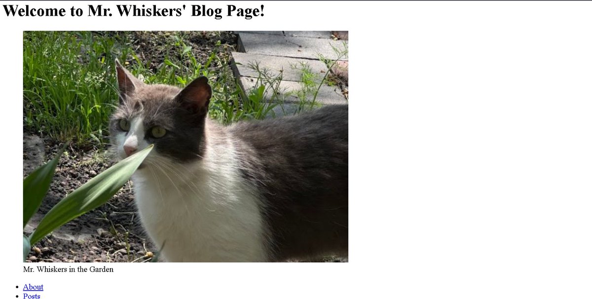 DRex_code's tweet image. 🐱 Just built a Cat Block Page using HTML!
Every screenshot is proof that I’m leveling up. 🚀
#100DaysOfCode #CodingJourney