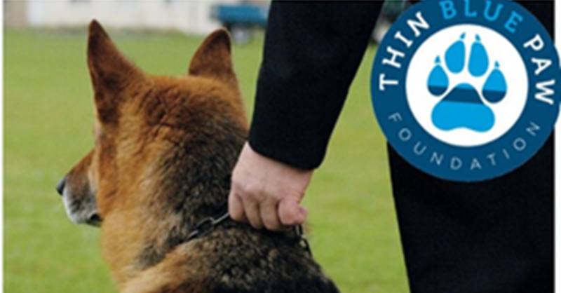 PFEW_HQ's tweet photo. “Police dogs serve with distinction, yet the moment they hang up their harness, they’re on their own.” – Kieran Stanbridge, @ThinBluePaw chairman.
The charity is urging the Government to introduce Police Dog Pensions. It’s time to support our four-legged heroes.
#POLICEMag👇